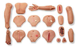 Female Wound Care Assessment Set for Nursing Anne Manikins